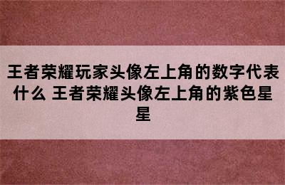 王者荣耀玩家头像左上角的数字代表什么 王者荣耀头像左上角的紫色星星